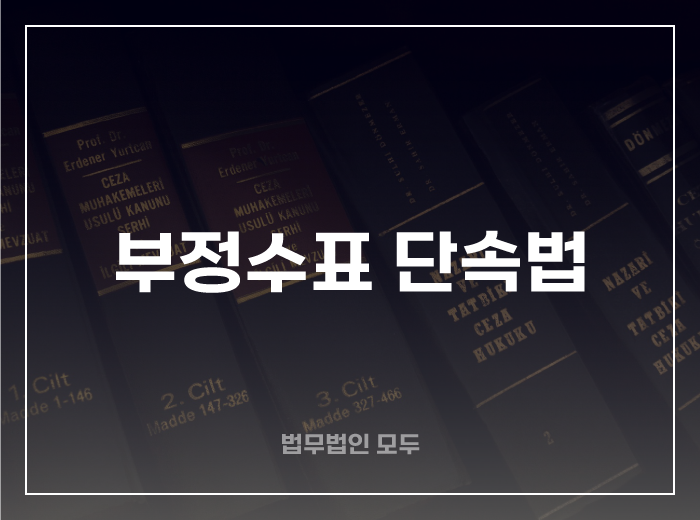 부정수표 단속법의 성립과 처벌, 위헌성